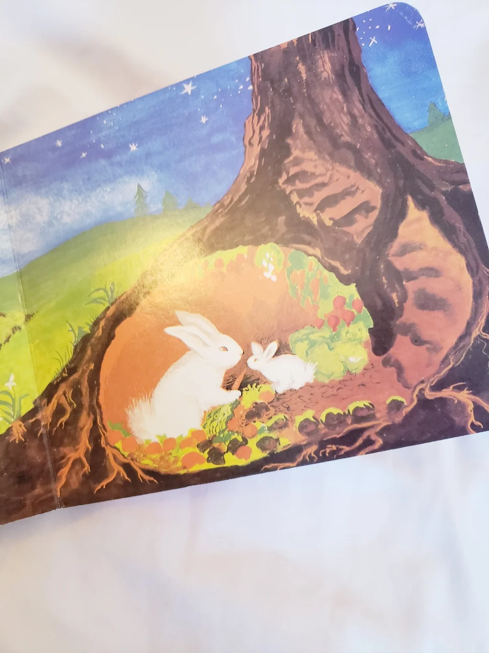The Runaway Bunny Children's Board Book